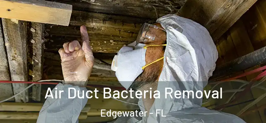  Air Duct Bacteria Removal Edgewater - FL