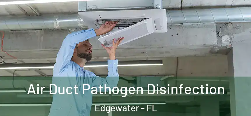 Air Duct Pathogen Disinfection Edgewater - FL
