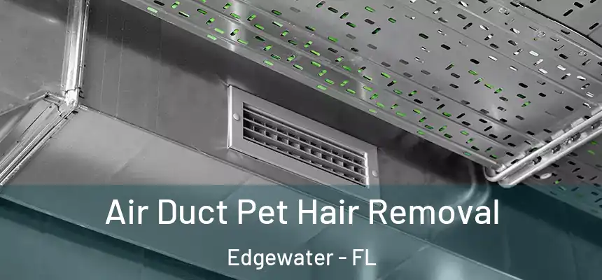 Air Duct Pet Hair Removal Edgewater - FL