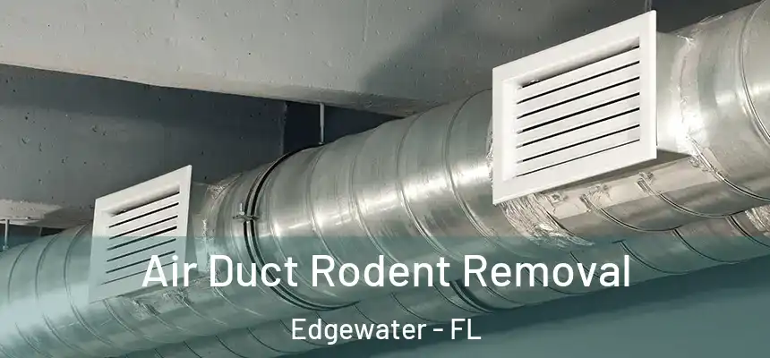 Air Duct Rodent Removal Edgewater - FL