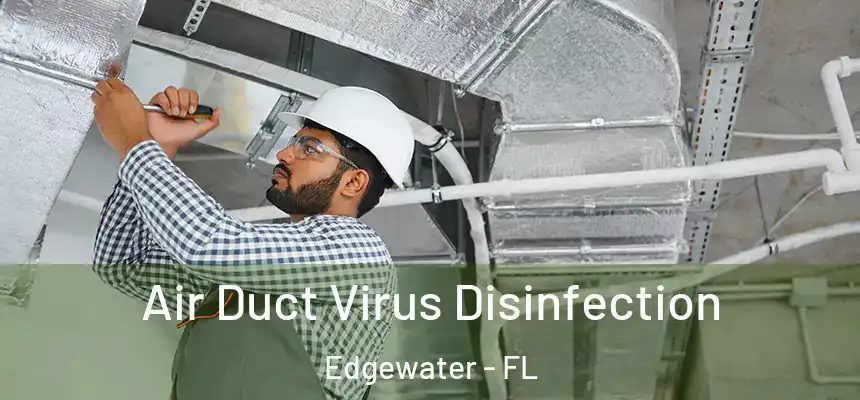 Air Duct Virus Disinfection Edgewater - FL