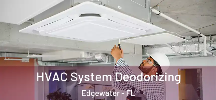  HVAC System Deodorizing Edgewater - FL