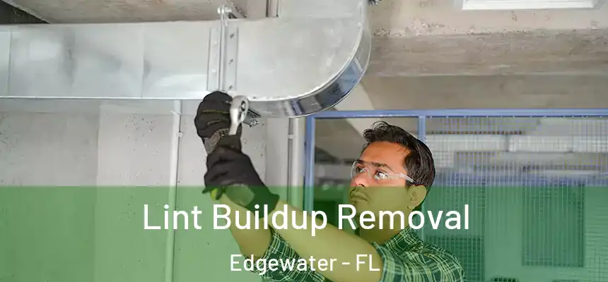 Lint Buildup Removal Edgewater - FL
