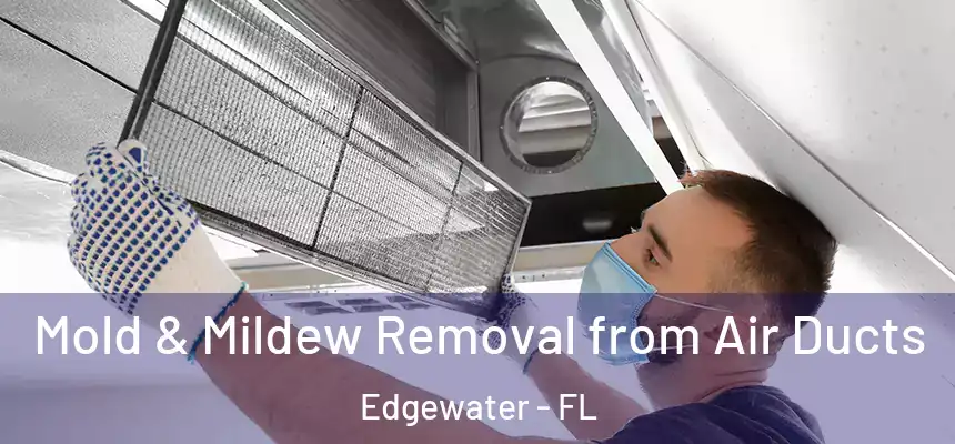  Mold & Mildew Removal from Air Ducts Edgewater - FL