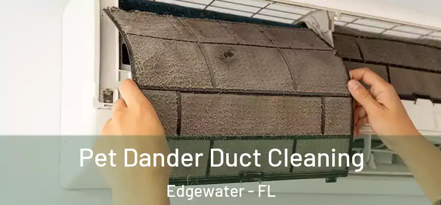 Pet Dander Duct Cleaning Edgewater - FL