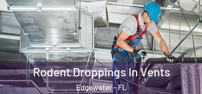 Rodent Droppings In Vents Edgewater - FL