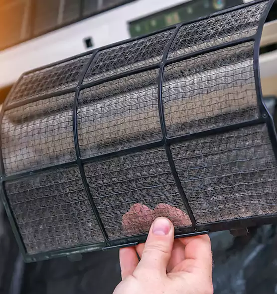 About Pet Dander Duct Cleaning in Edgewater, FL